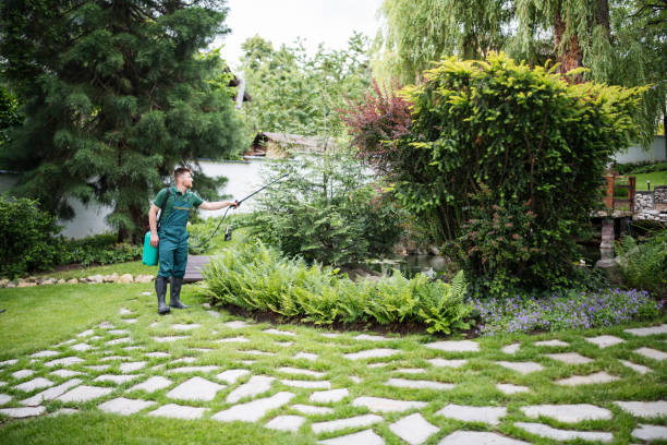 Best Best Pest Control Companies  in Centerville, SC