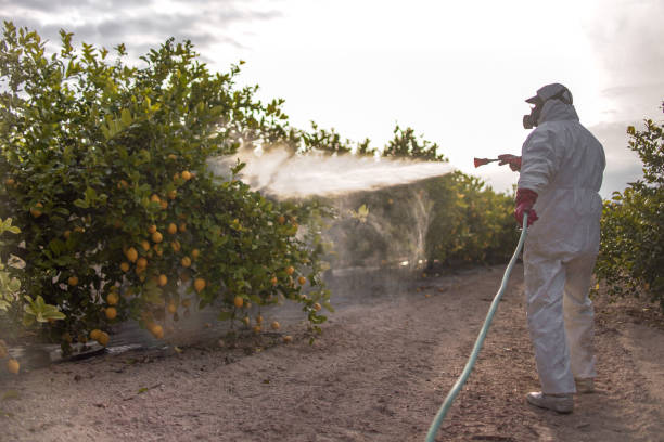 Best Best Pest Control Companies  in Centerville, SC