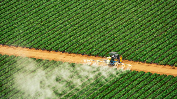 Best Ant Control Services  in Centerville, SC