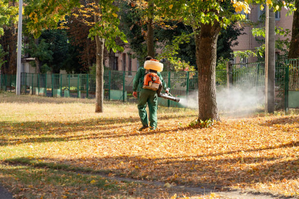 Best Insect Control  in Centerville, SC