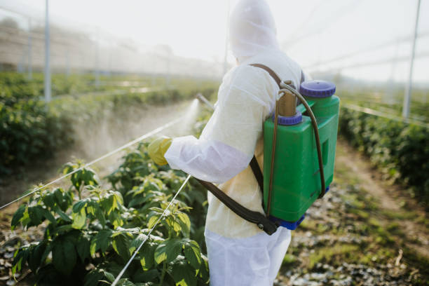 Best Emergency Pest Control  in Centerville, SC
